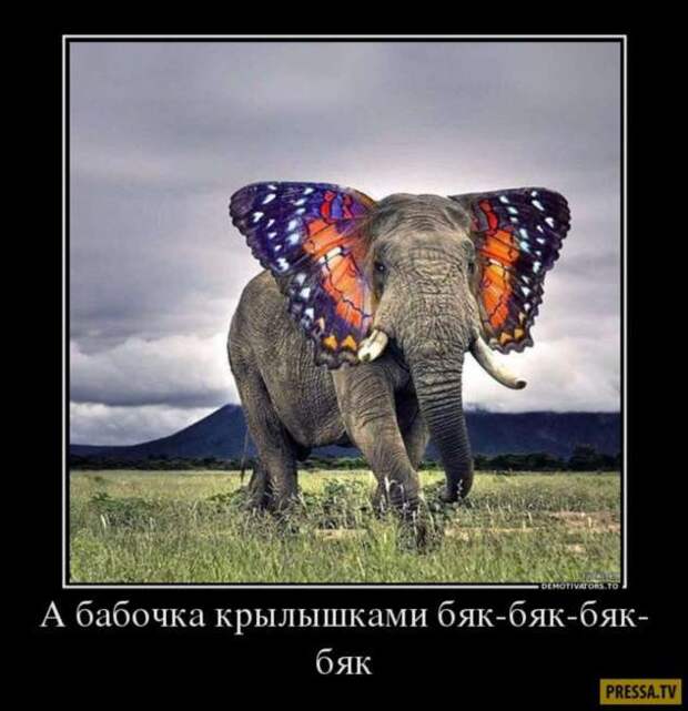 Демотиваторы. Подборка chert-poberi-chert-poberi-44430407032020-13 картинка chert-poberi-44430407032020-13