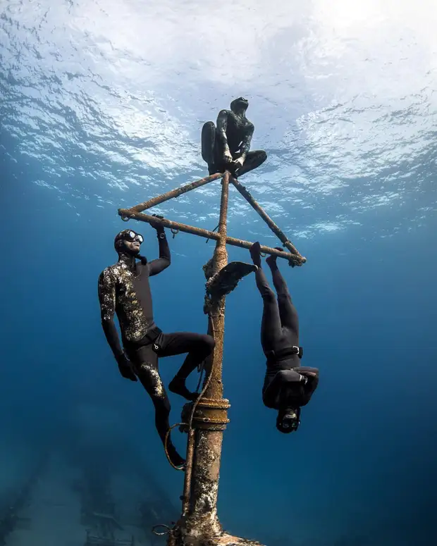 Андре Масгроув (André Musgrove) и его невероятные подводные снимки
