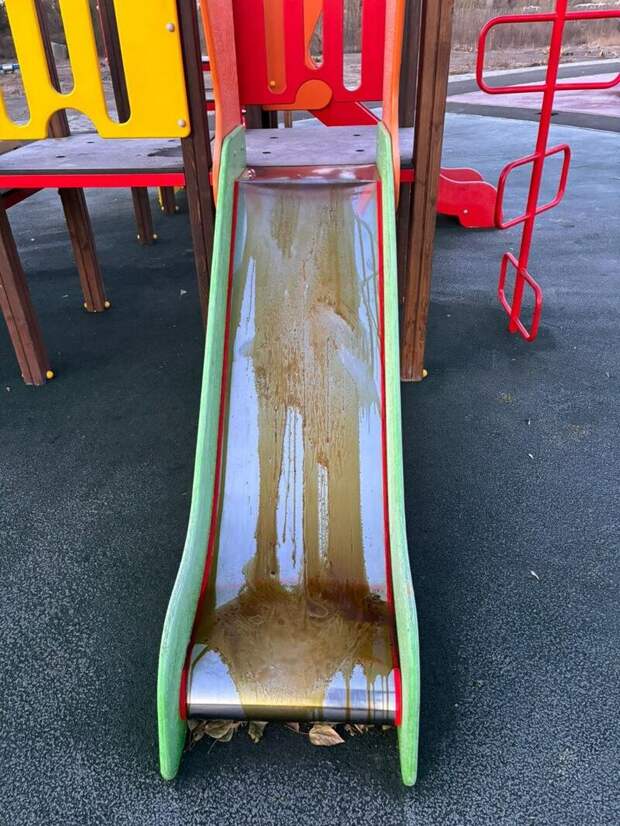 Фото: глава Славгорода Людмила Подгора