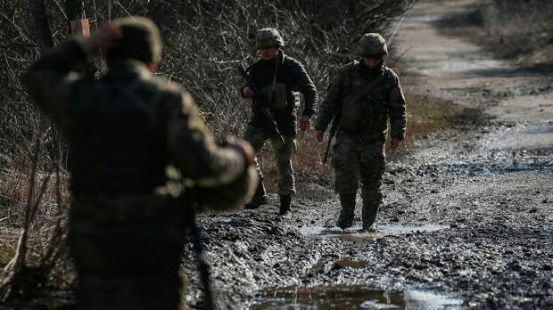 Украинские военнослужащие на линии соприкосновения в Донецкой области Украинские военнослужащие на линии соприкосновения в Донецкой области - РИА Новости, 1920, 27.02.2022