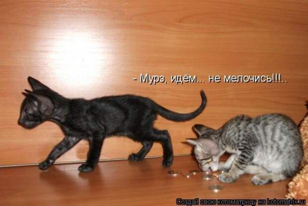 Мысли вслух :)