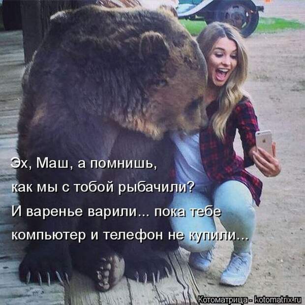Лучшие котоматрицы недели