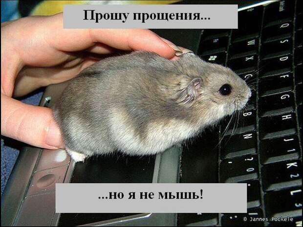 Мысли :) (50мыслей)