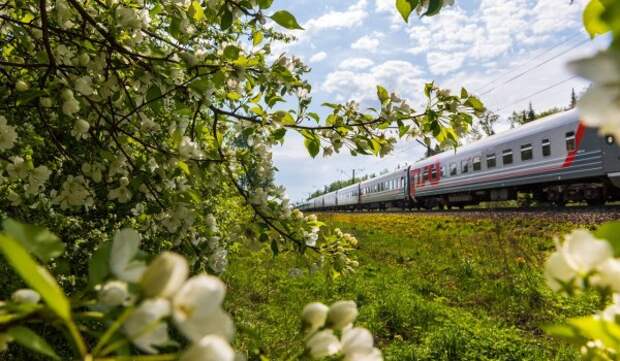 РЖД перевезли за майские праздники в дальнем следовании 5,6 млн пассажиров
