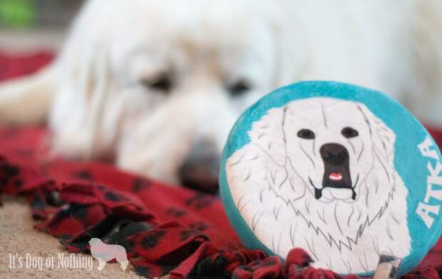 PrideBites with Great Pyrenees