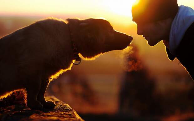 Собака и человек/Фотобанк