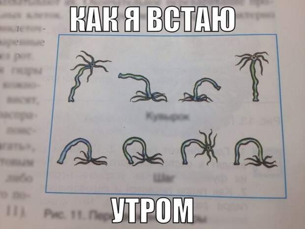 Спать охота, а тут еще прикол, работа, сон, юмор