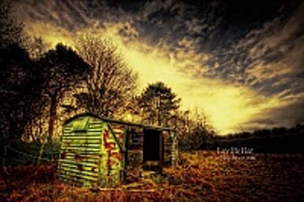 ФОТОГРАФ MIKE SHAW 36