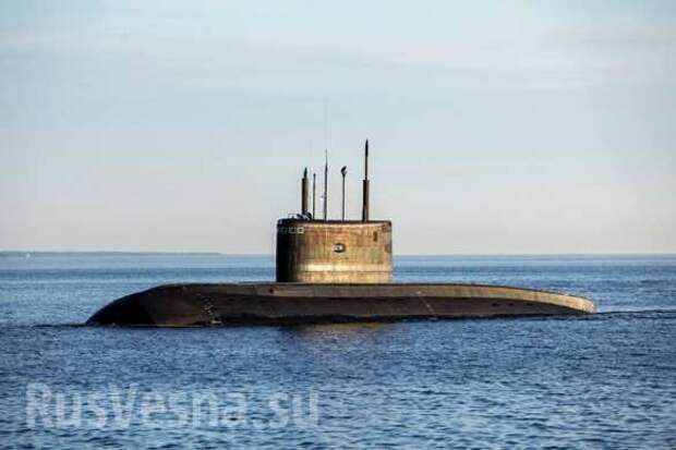 Новая подводная лодка «Краснодар» будет передана в состав ВМФ России (ФОТО) | Русская весна