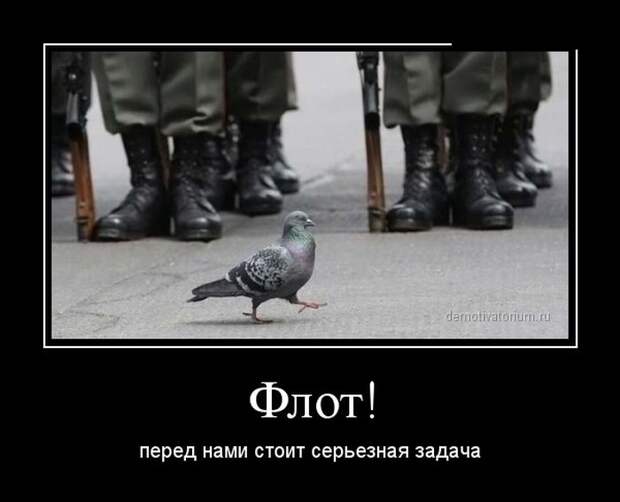 Демотиваторы демотиваторы, юмор