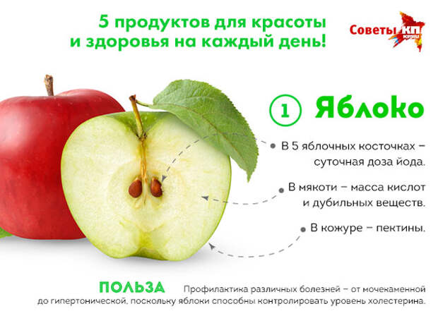 Анна ЛАТУХОВА