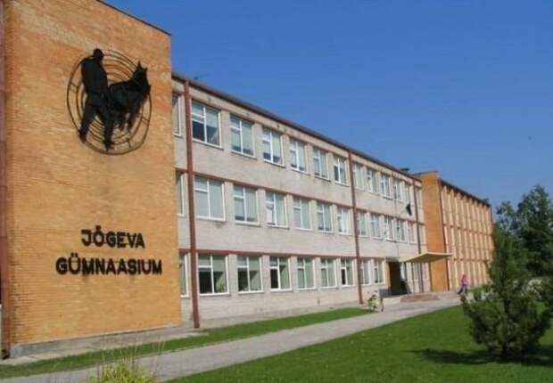 покозалось покозалось картинки, прикол