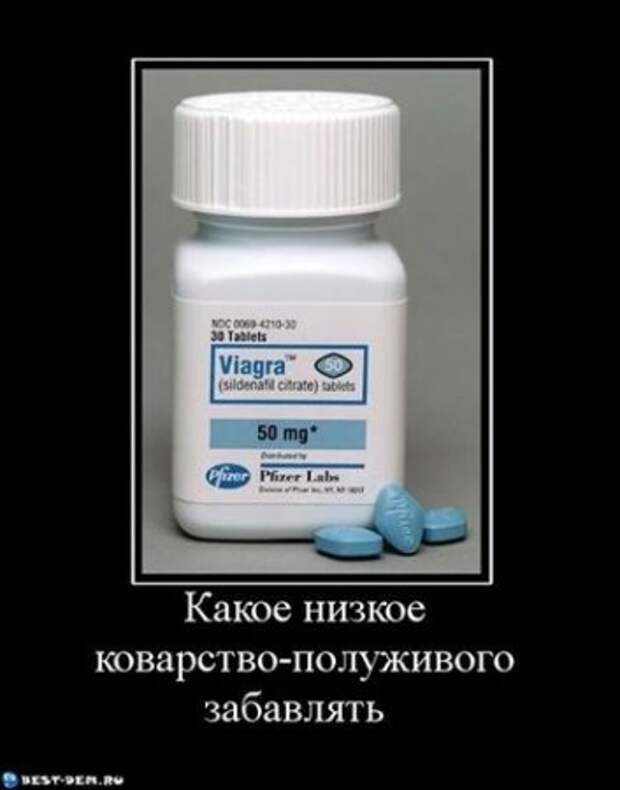 Демотиваторы приколы у нас самые смешные!