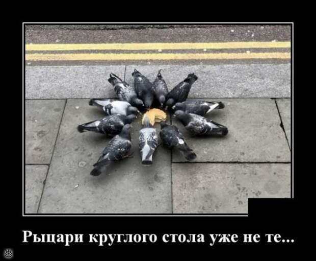 Ещё чуть-чуть демотиваторов 13