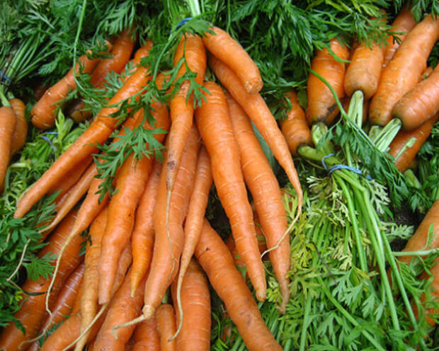 10 продуктов, помогающих вывести никотин из организма