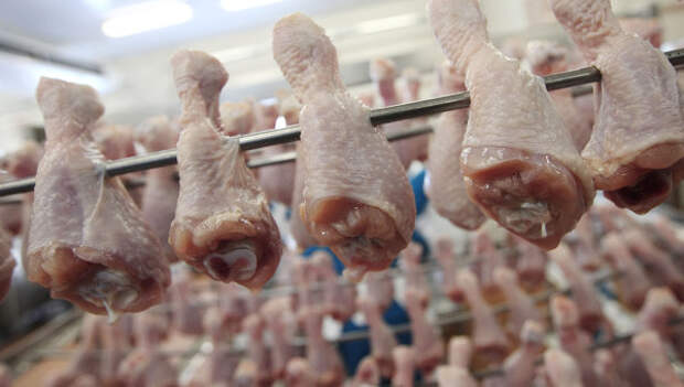 Продукция птицефабрики. Архивное фото Продукция птицефабрики. Архивное фото