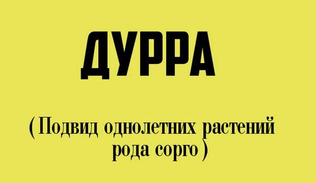 12 странных слов, которые и правда есть в русском языке (12 фото) 12 странных слов, которые и правда есть в русском языке (12 фото)