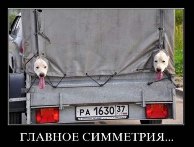 Демотиваторы смешные про нашу русскую реальность.