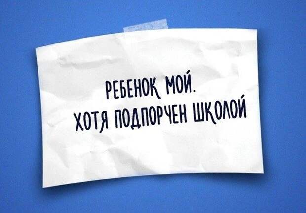 Юмор жизни в одностишьях