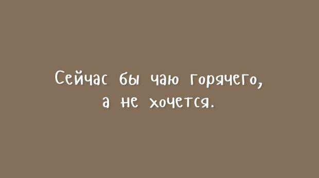 открытки с нестандартным юмором 