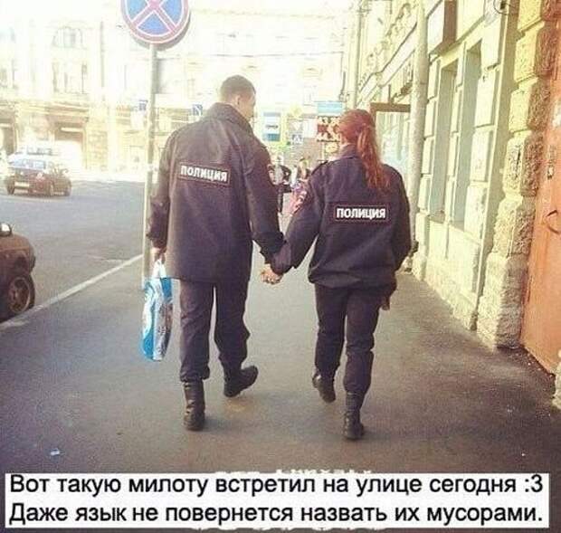 Смешные картинки с надписями прикол, юмор