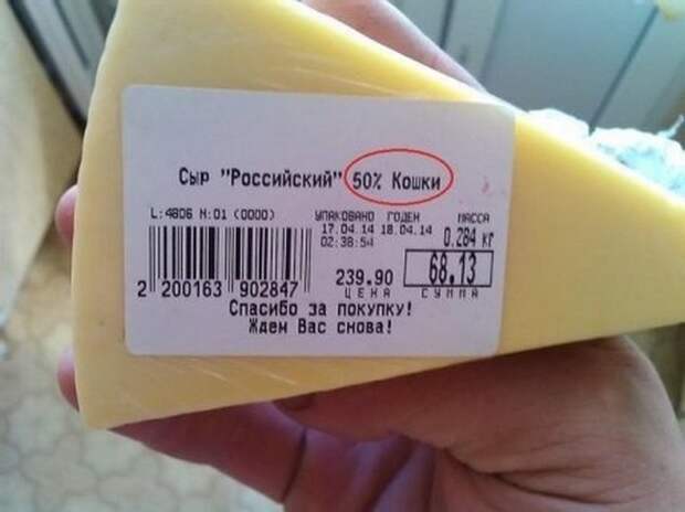 Правдивые надписи надпись, правда, смешно