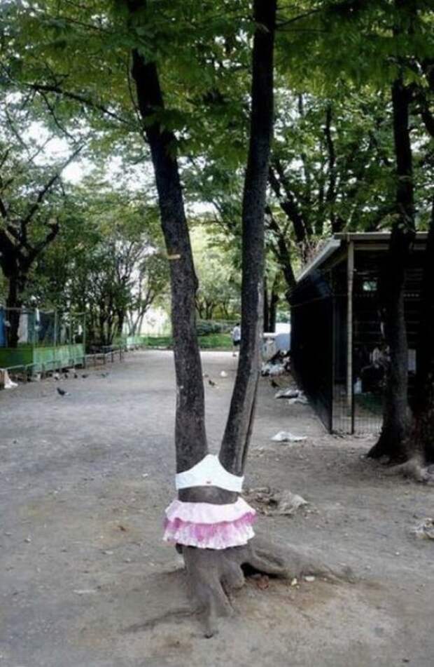 Фотоприколы кучей