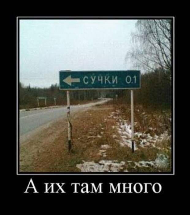 Демотиваторы новые фото приколы и смешные.