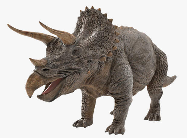 http://www.sclance.com/pngs/triceratops-png/triceratops_png_1413886.jpg