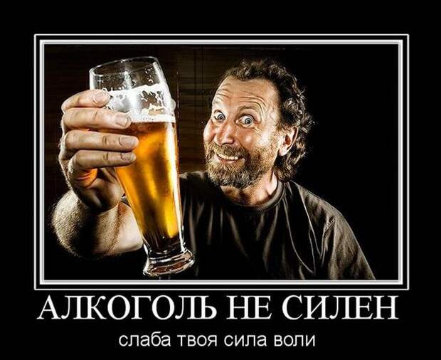 Демотиваторы (30 фото)