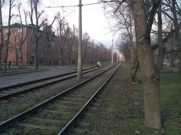 В Краснодаре жители улицы Стасова отстаивают «свой» сквер