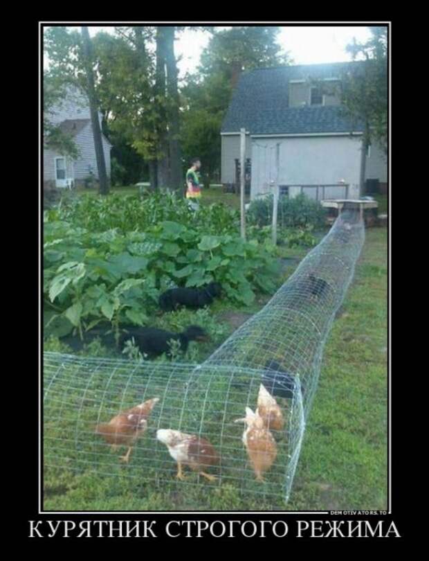 Новый сборник демотиваторов (28 шт)