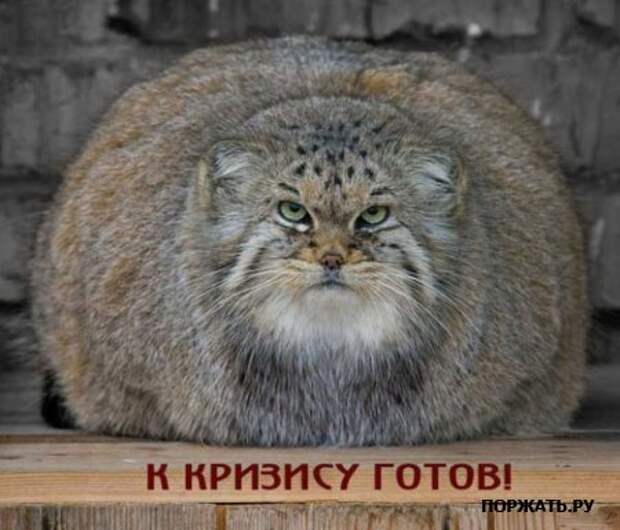 фото приколов (17)