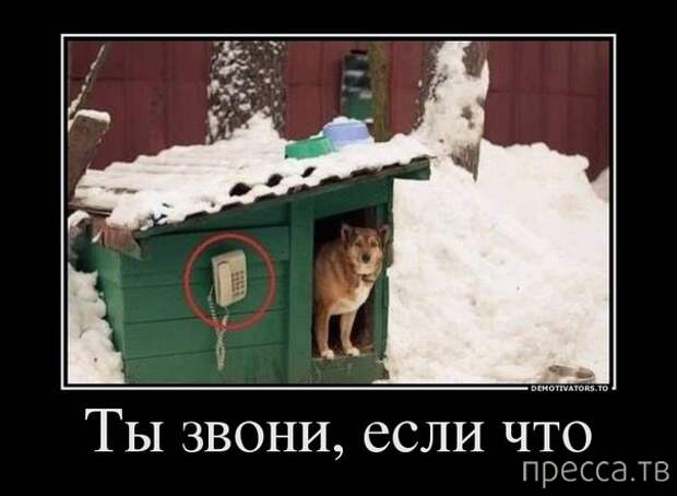 Самые злобные демотиваторы, часть 47 (37 фото)