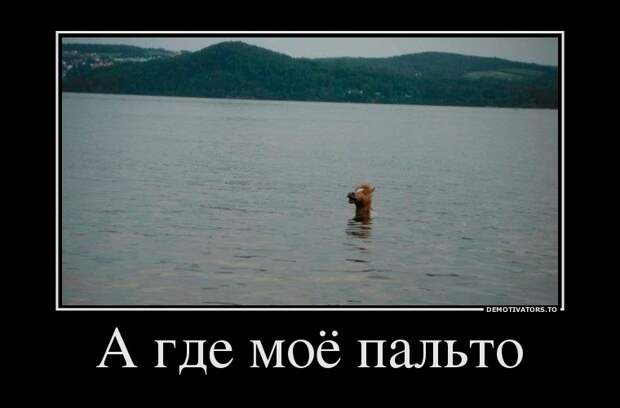 Демотиваторы Демотиваторы