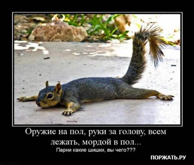 Демотиваторы (22 штуки)