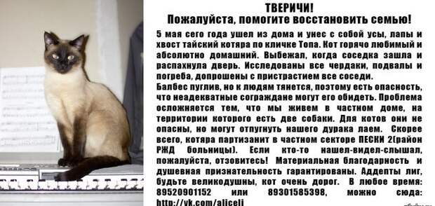 Забавные объявления о пропаже домашних животных (25 фото) 