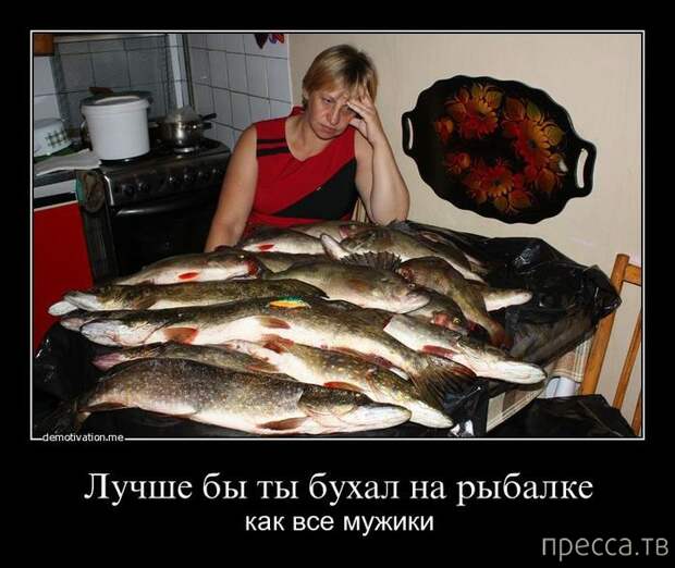 Демотиваторы со смыслом, часть 37 (41 фото)