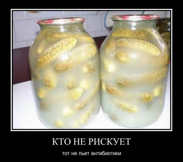 Демотиваторы (30 фото)
