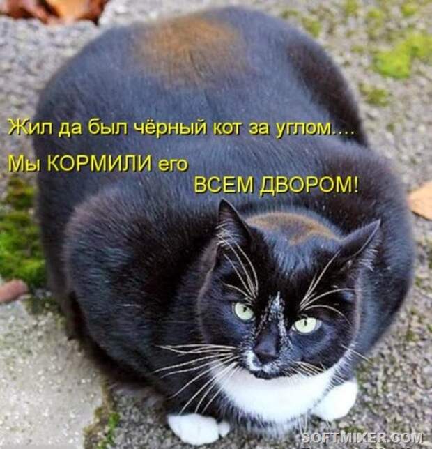 3c91aa80a22e6df87435128b884_prev