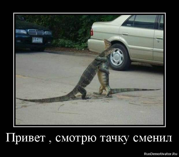Привет посмотришь на него. Привет посмотришь на него