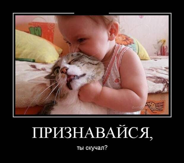 Демотиваторы демотиваторы, прикол, смех, юмор