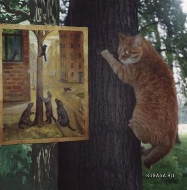 Прикольные картинки (31 шт)