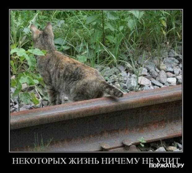 Понедельничные демотиваторы.