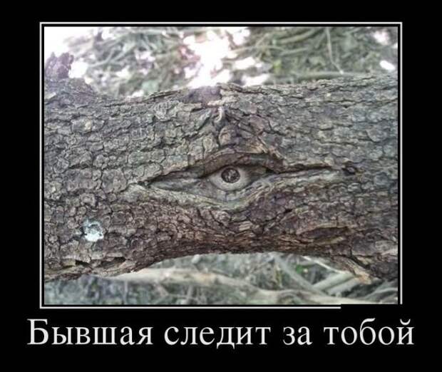 Пятничная подборка демотиваторов демотиватор, юмор