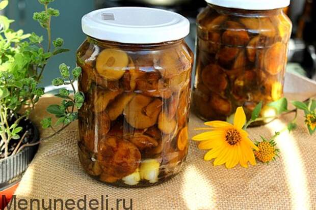 Маринованные лесные грибы