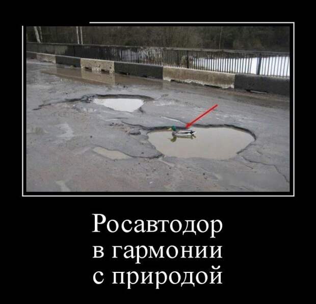 Демотиваторы (30 фото)