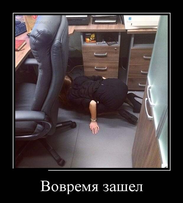 Демотиваторы (30 фото)