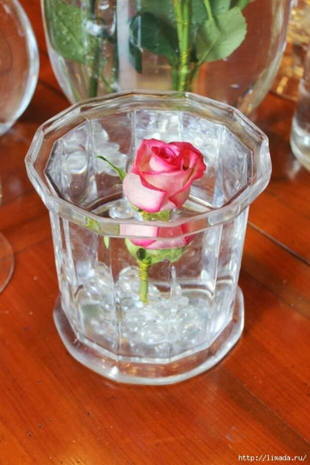 IMG_1542 (466x700, 231Kb)