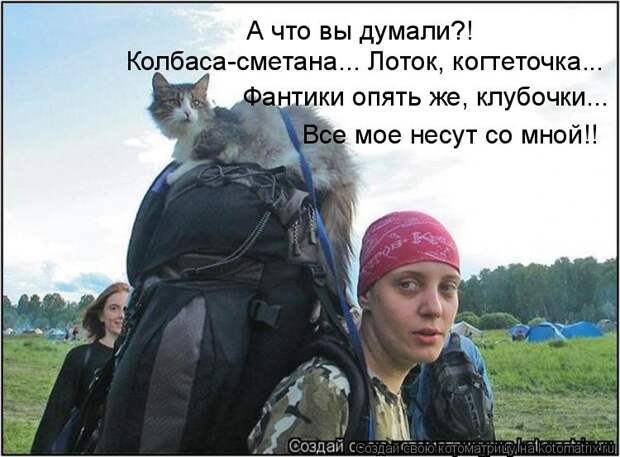 Котоматрица: А что вы думали?! Колбаса-сметана... Лоток, когтеточка... Фантики опять же, клубочки... Все мое несут со мной!!